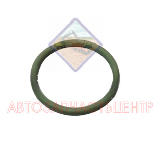 Прокладка насоса масляного MAN TGA TGS TGX с мотором D2066 06569361150